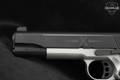 Tisas USA ZIG 1911D10 10mm Two-Tone in Very Good Condition Image 5
