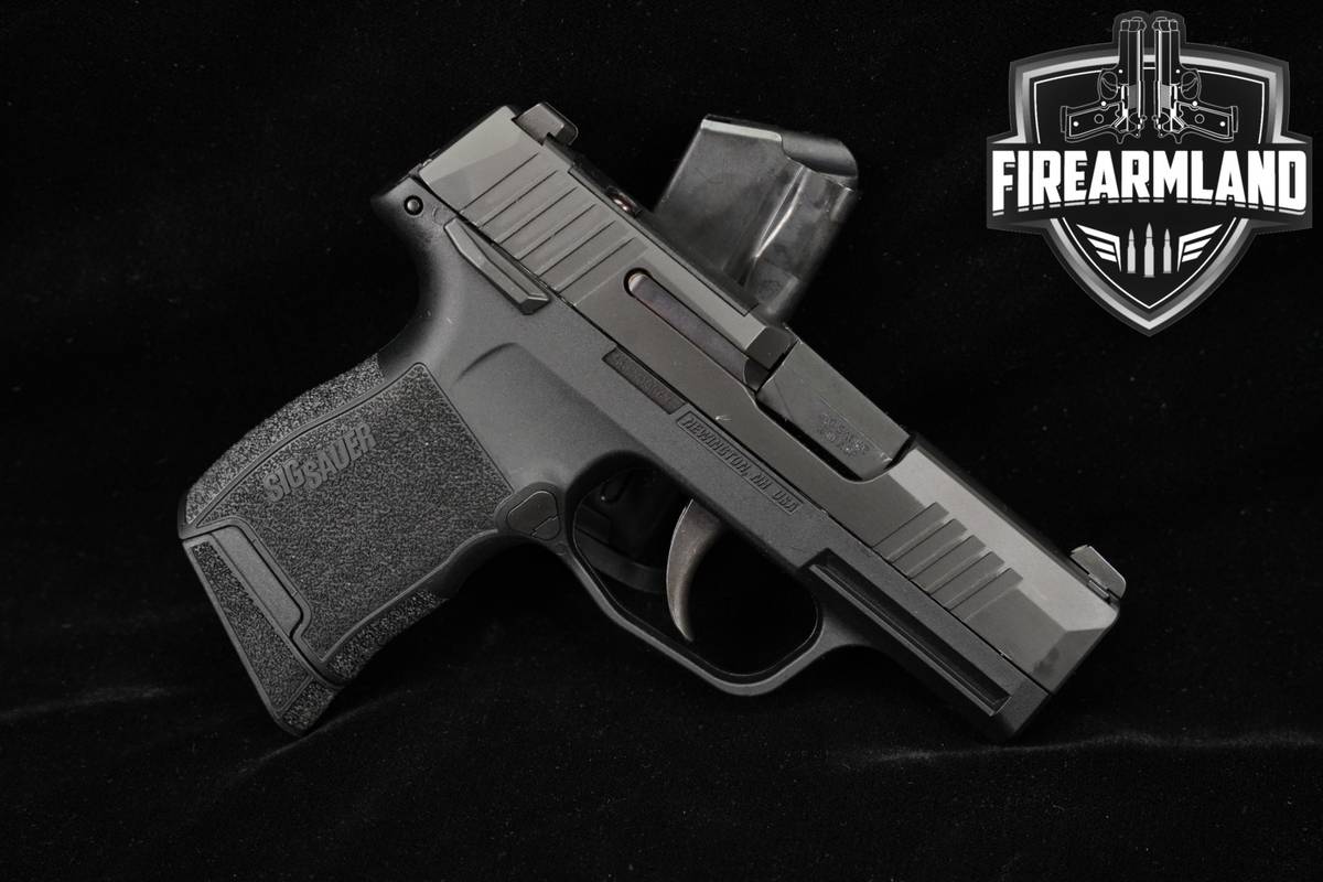 Sig Sauer P365-380 Optics-Ready 380ACP 3.1" P 365 +2 MAGS