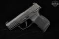 Sig Sauer P365-380 Optics Ready, No Manual Safety .380 ACP Black in Good Condition Image 4
