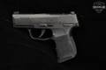 Sig Sauer P365-380 Optics Ready, No Manual Safety .380 ACP Black in Good Condition Image 5