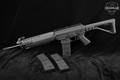 Sig Sauer SIG 556 Gen 1 5.56mm NATO Grey in Good Condition Image 2