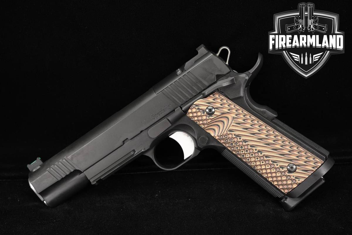Dan Wesson Specialist Optics-Ready Government 9mm 1911 5" 2 MAGS & ORIG BOX