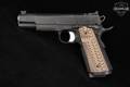 Dan Wesson Specialist Optics-Ready Government 9mm Luger Black in Very Good Condition Image 3