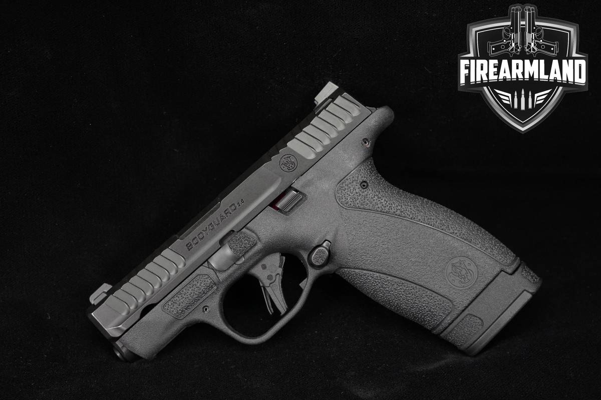 Smith & Wesson S&W Bodyguard 2.0 NTS 380 ACP 2.75 +2 MAGS
