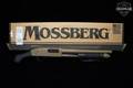 Mossberg 590 Shockwave FDE 12 Gauge FDE Cerakote in Excellent Condition Image 2