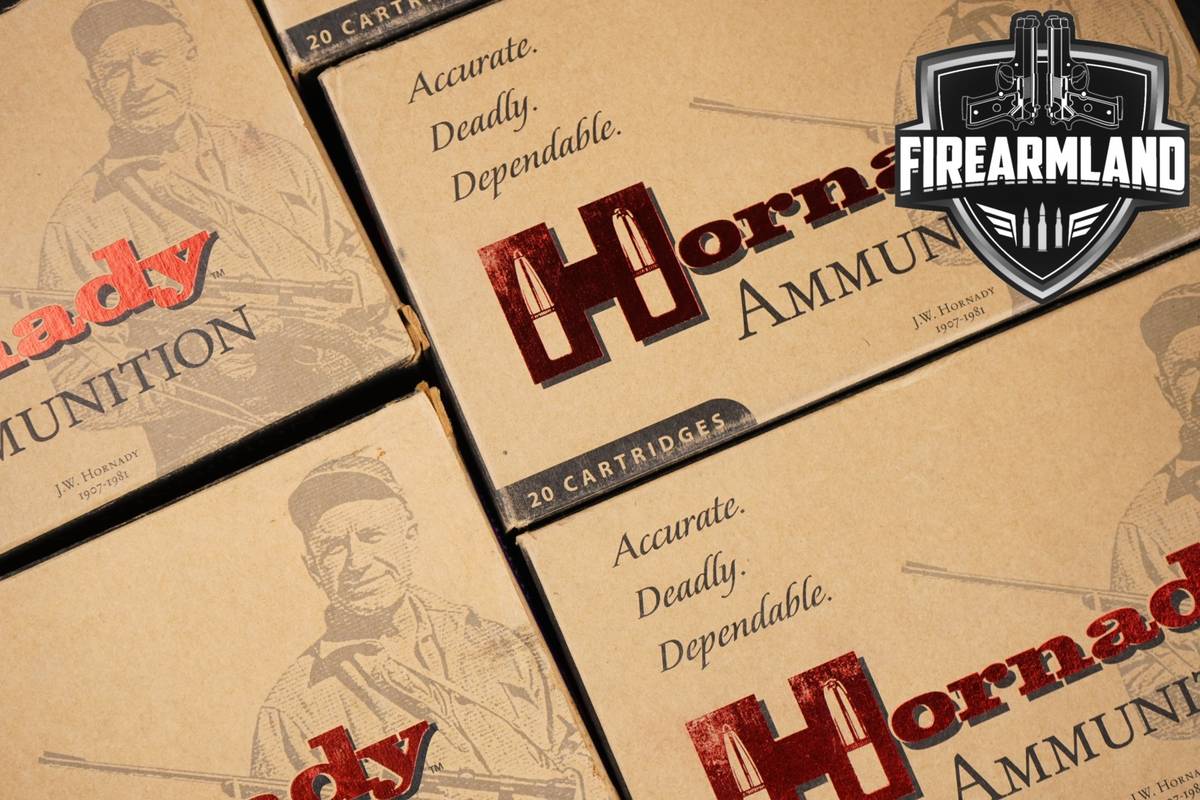 100 RDS! 338 Lapua Ammo Ammunition