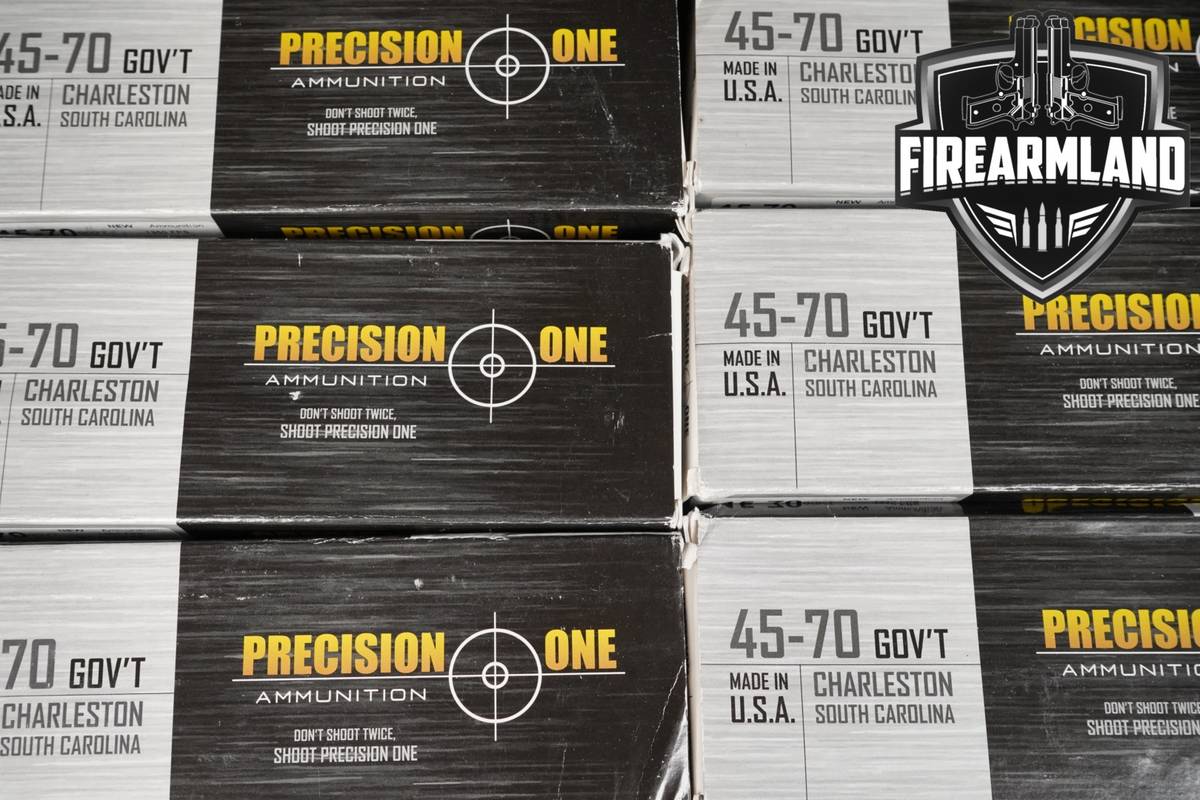 160 RDS! 45-70 Ammo Govt Ammunition