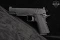 Springfield Armory 1911 Emissary Government 9mm Luger (9x19 Para) Stainless in Excellent Condition Image 3