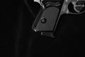 Walther PPK .380 ACP Stainless Steel in Excellent Condition Image 4