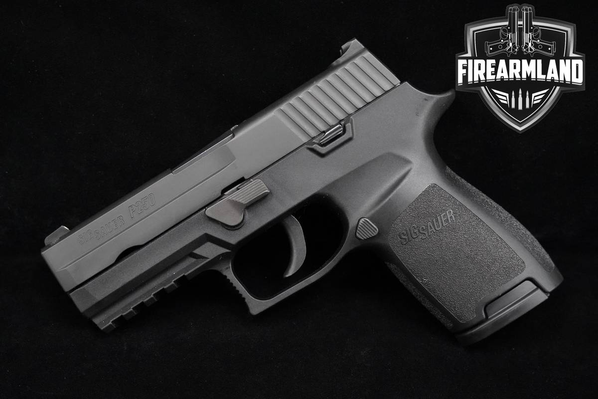 Sig Sauer P250 9mm 3.8" Sig-Sauer P250 P-250 +2 MAGS & HOLSTER