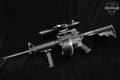 Spikes Tactical SL15 Zombie 5.56mm NATO Black in Excellent Condition Image 2