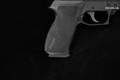 Sig Sauer P220 .45 ACP Nitron in Excellent Condition Image 4