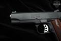 Springfield Armory 1911 RO Champion 9mm Luger Parkerized in Excellent Condition Image 5