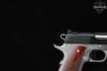 Springfield Armory 1911 Ronin 10mm Two-Tone in Excellent Condition Image 5