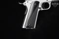Kimber Stainless LW Arctic 9mm Luger Stainless Steel in Excellent Condition Image 4