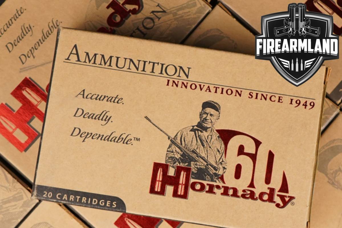 200 RDS! 30-06 Ammo 3006 Ammunition
