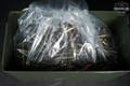Multiple Manufacturers Loose 7.62x39mm Ammunition 7.62x39 in New - Old Stock Condition Image 3