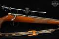 Anschutz Model 164M Sporter .22 WMR Blued & Walnut in Good Condition Image 5