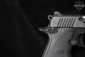 Kimber Micro 9 STG 9mm Luger (9x19 Para) Black/Stainless in Like-New Condition Image 5
