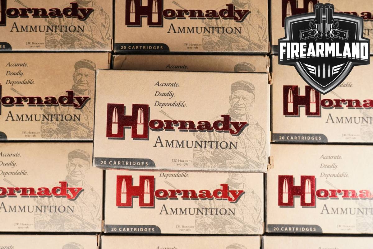260 RDS! 243 Win Ammo 243Win Ammunition