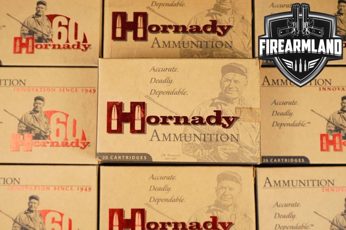 200 RDS! 30-06 Ammo 3006 Ammunition