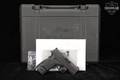 Springfield Armory XD-S Mod.2 9mm Luger Black in Excellent Condition Image 2
