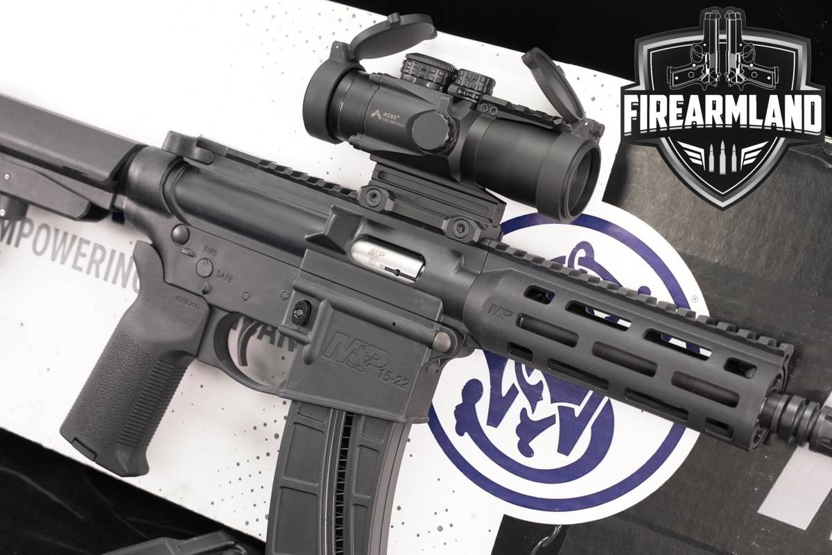 Smith & Wesson M&P15-22P 22LR S&W AR-15 AR15 8" M&P 22-P +3 MAGS, ORIG BOX