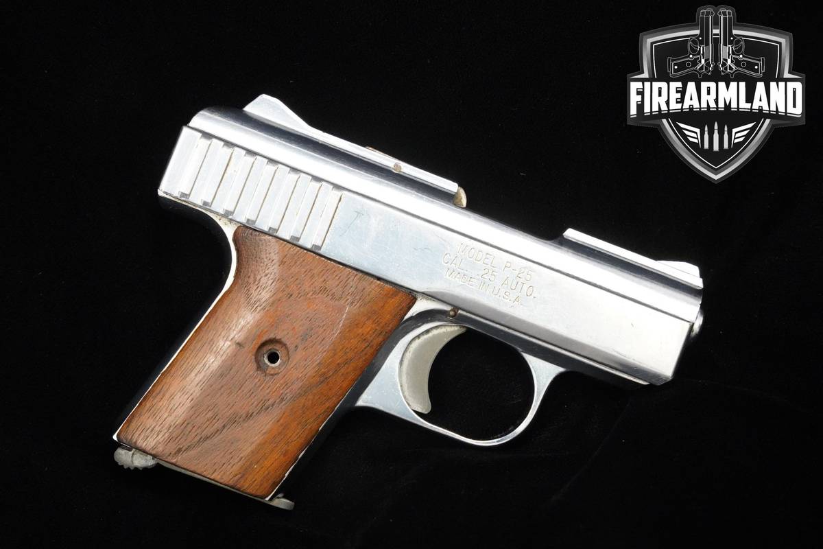 Raven Arms P-25 .25 ACP Nickel Plated 2.5" P-25 P25