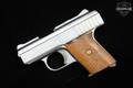 Raven Arms P-25 .25 ACP Nickel Plated in Good Condition Image 5
