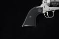 2021 Sturm Ruger Wrangler .22 LR Silver Cerakote in Good Condition Image 4