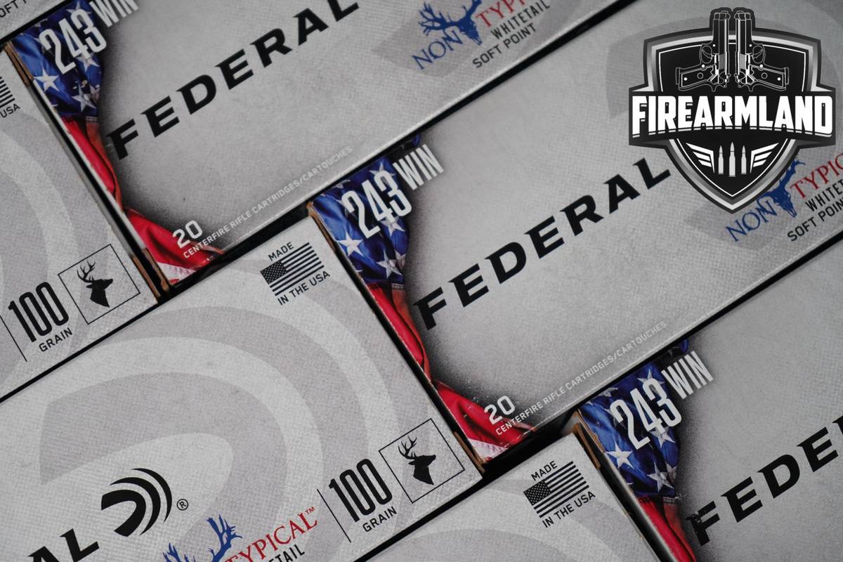 200 RDS! 243 Win Ammo 243WIN Ammunition
