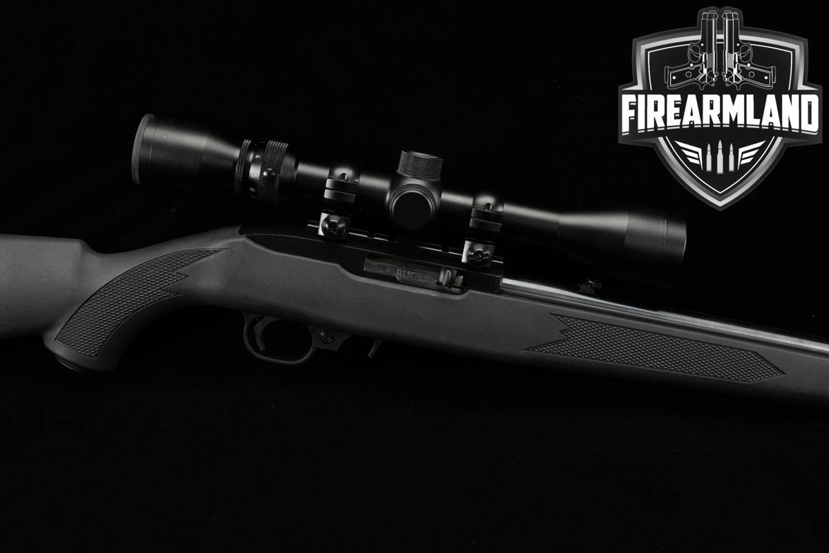 Ruger 10/22 Carbine 22LR 18.5" Silver & Black 1022 +WEAVER SCOPE