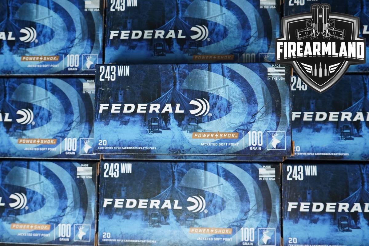 200 RDS! 243 Win Ammo 243Win Ammunition