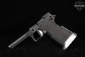 Springfield Armory Prodigy Frame in Fair Condition Image 3