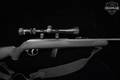 Savage Arms Model 64 LH .22 LR Blued in Good Condition Image 5