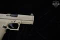 Palmetto State Armory (PSA) Dagger Compact 9mm Luger FDE (Flat Dark Earth) in Excellent Condition Image 5