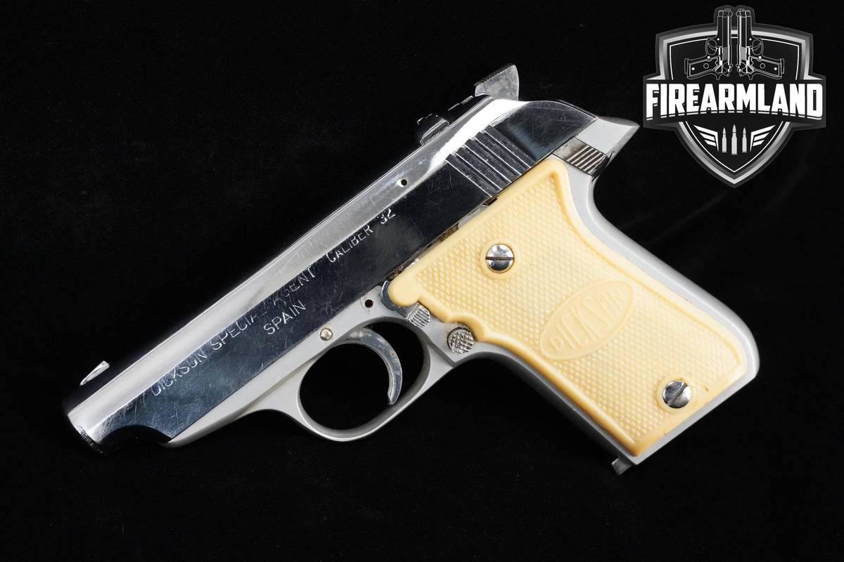 Dickinson Special Agent 32 ACP Two-Tone Dickinson COMPACT CCW +2 MAGS