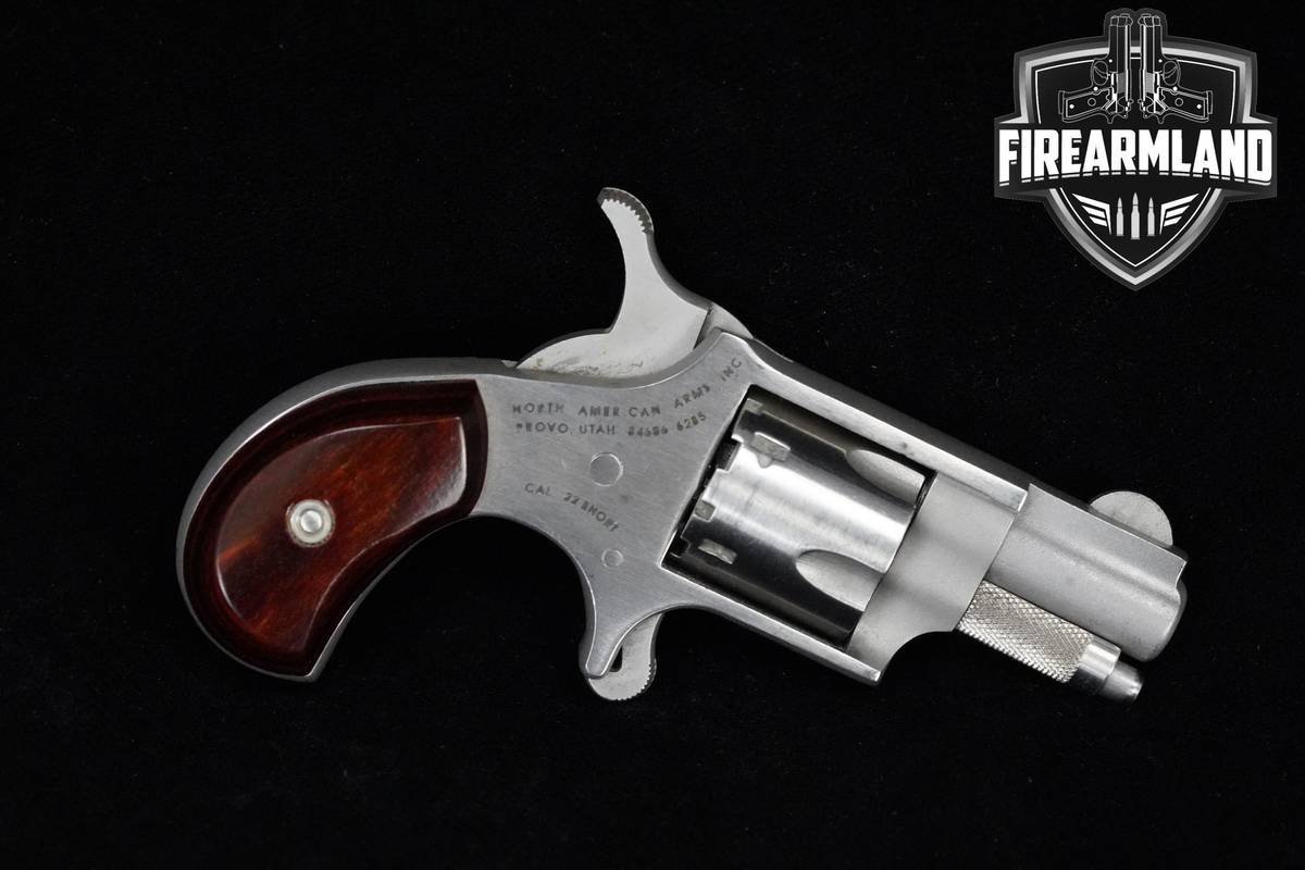 North American Arms (NAA) NAA-22S 22 Short 1" Silver NAA-22S