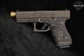 Glock G19 Gen4; Trump 45th 9mm Luger FDE in Excellent Condition Image 3