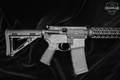 Bushmaster XM15-E2S 5.56mm NATO Anodized in Good Condition Image 3