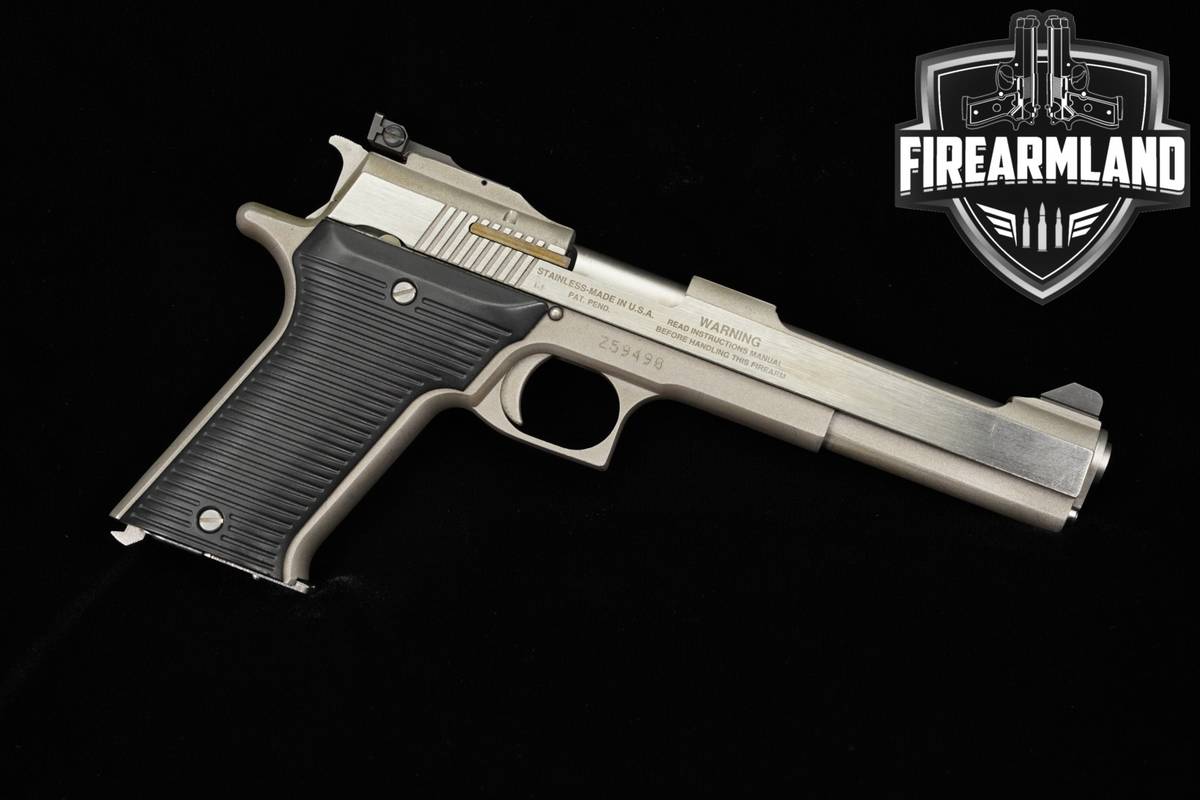 AMT AutoMag II 22 WMR 6" Stainless Auto Mag 2