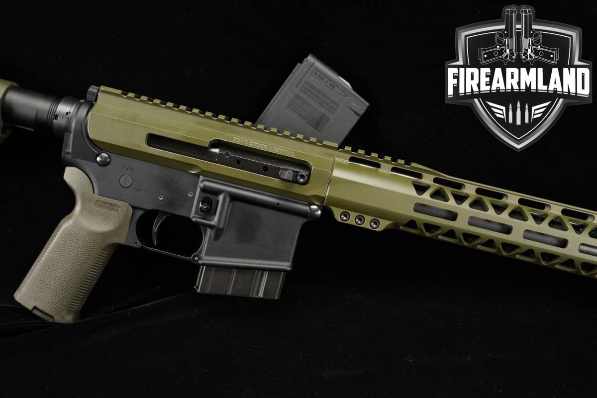 CUSTOM Palmetto State Armory PSA PA-15 7.62x39 AR15 AR PA15 +2 MAGS
