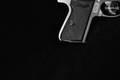Walther PPK/S .380 ACP Stainless Steel in Excellent Condition Image 4