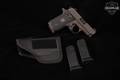 Sig Sauer P238 Legion .380 ACP Legion Gray in Good Condition Image 2