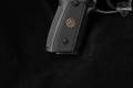 2017 Sig Sauer P229 Legion .40 S&W Legion Gray in Excellent Condition Image 4