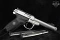 Smith & Wesson (S&W) SW22 Victory .22 LR Stainless Steel in Very Good Condition Image 2