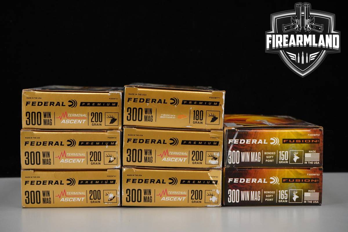 160 RDS! 300 Winchester Magnum Ammo 300Win-Mag