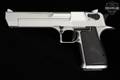 Israeli Military Industries (IMI) Desert Eagle Mark I .357 Mag. Stainless in Good Condition Image 3