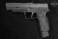 Grayguns, Inc. SIG Sauer P320 AXG 9mm Luger Black in Good Condition Image 3