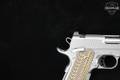 Dan Wesson Specialist 9mm Luger Stainless Steel in Excellent Condition Image 5